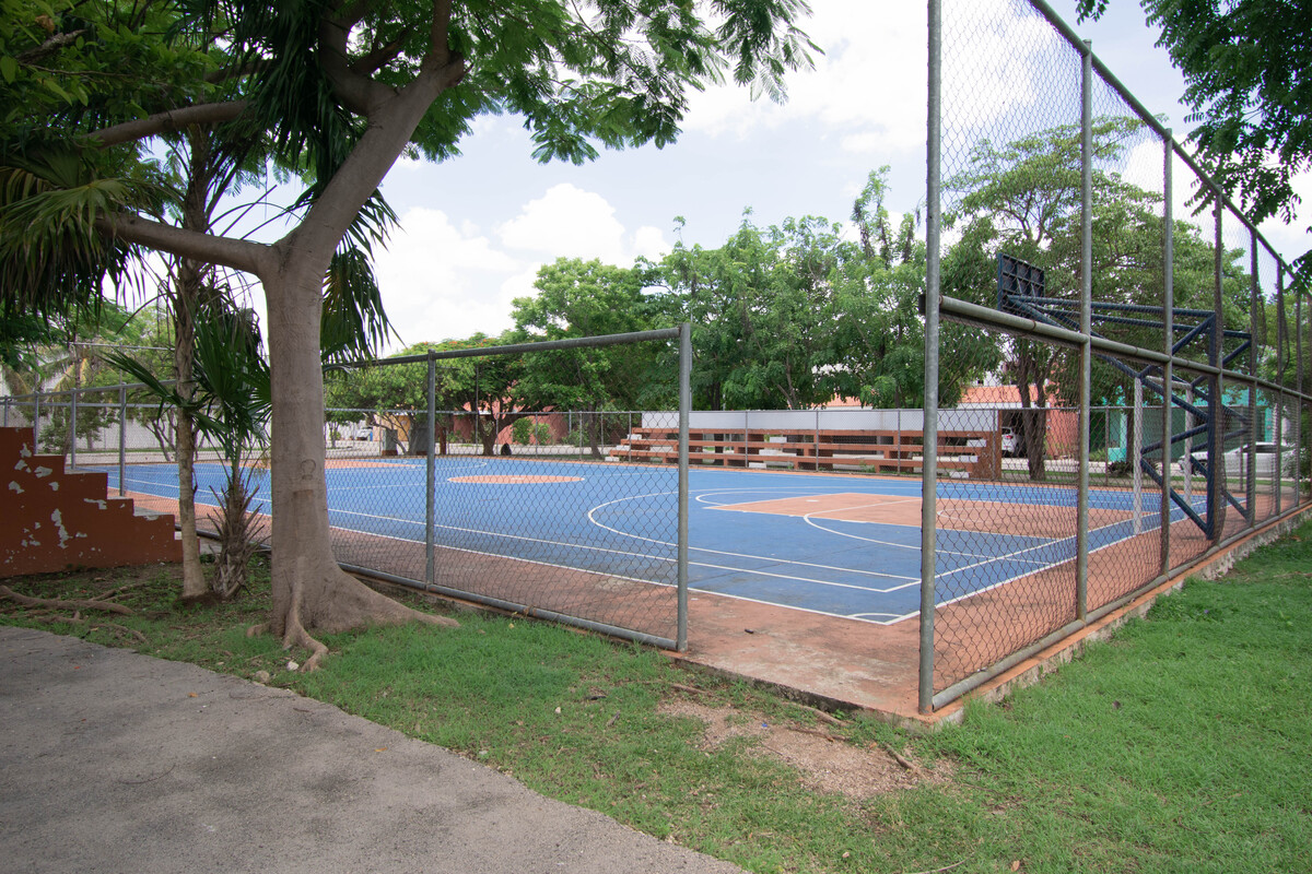 12 de 25