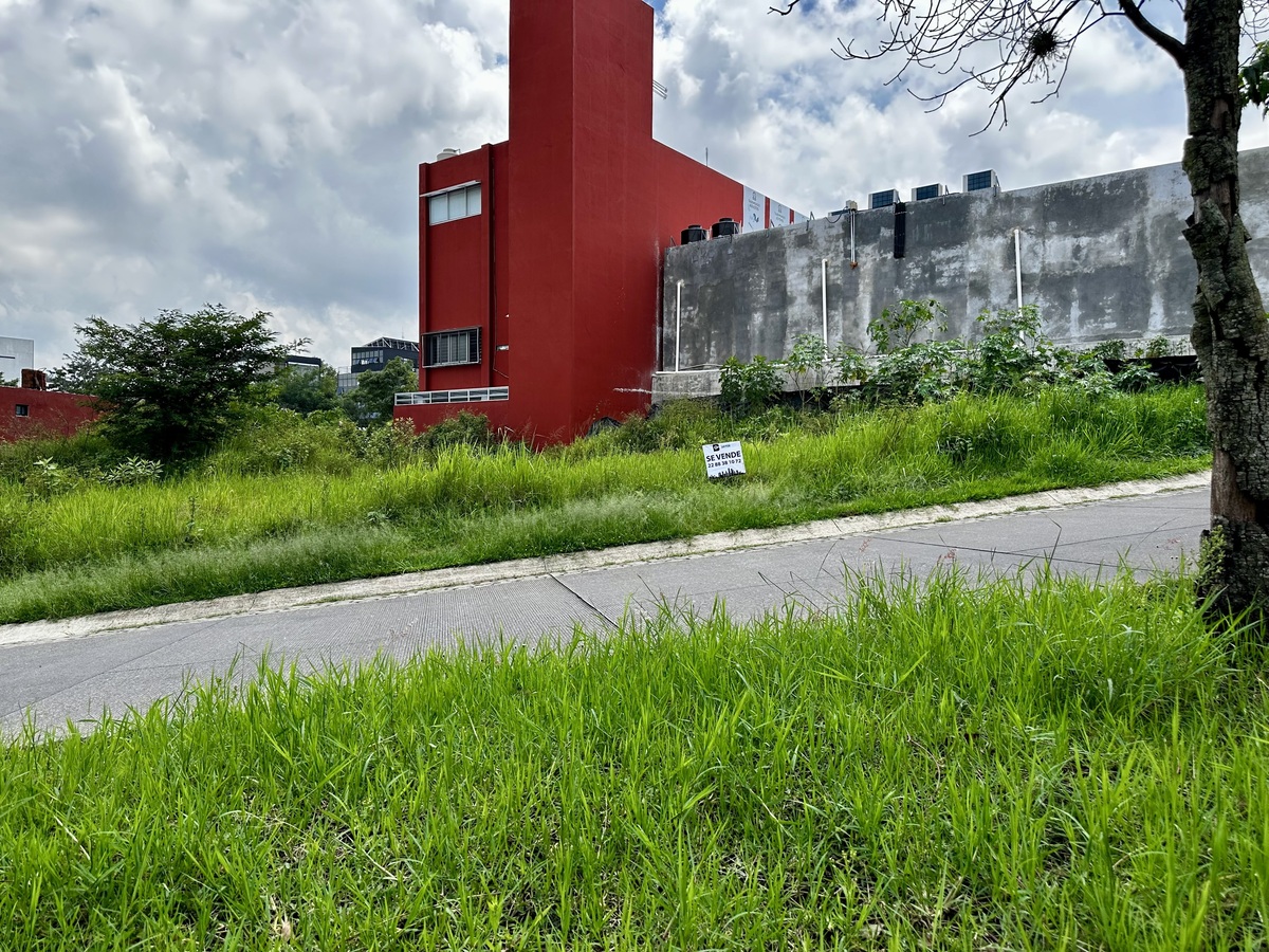 5 de 6