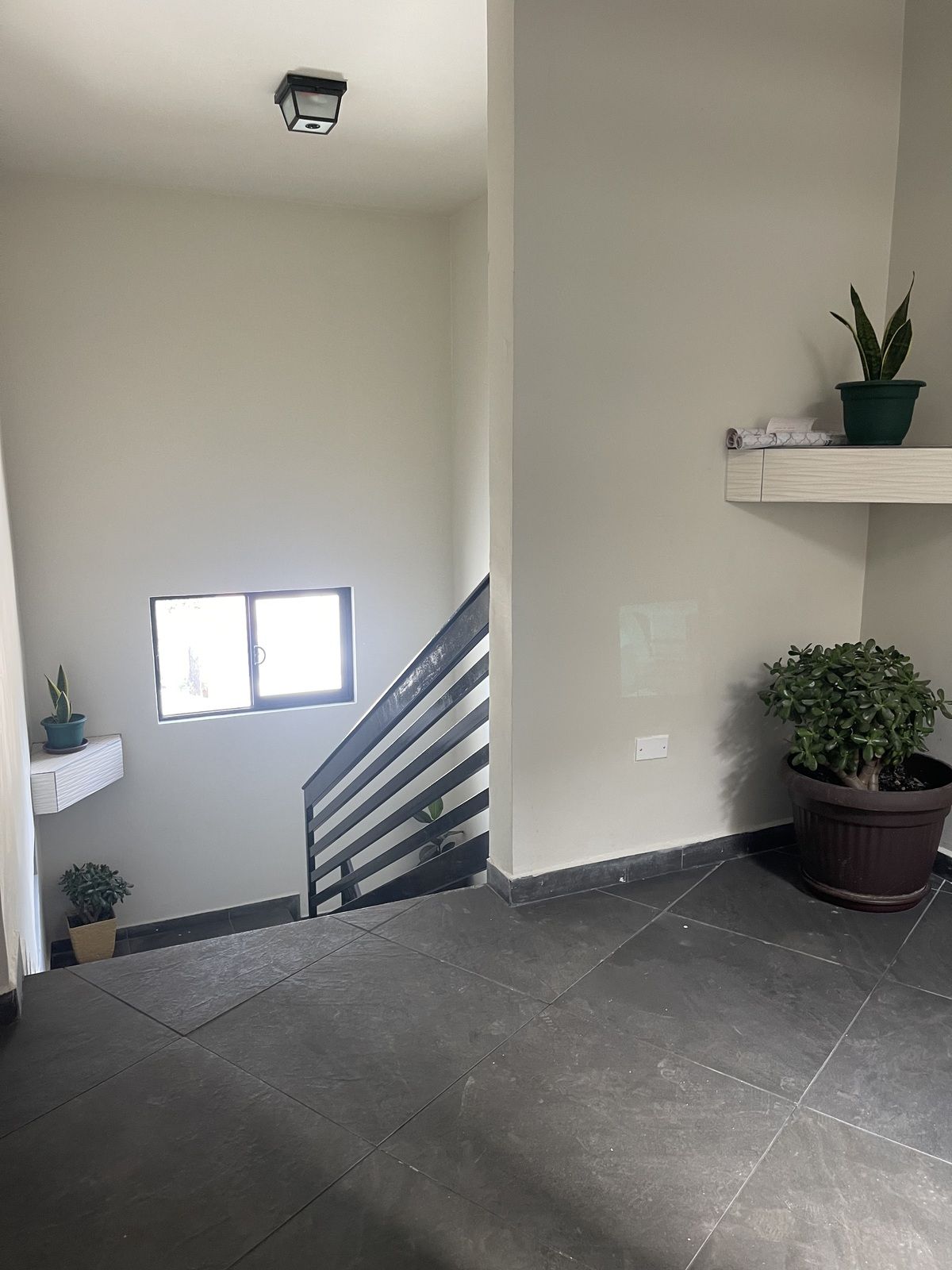 Apartamento em Centro, Tijuana, foto 10 de 10