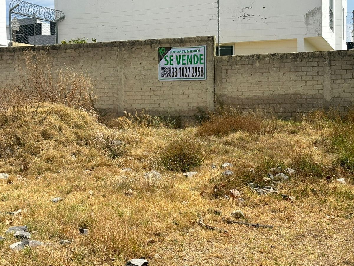 2 de 19