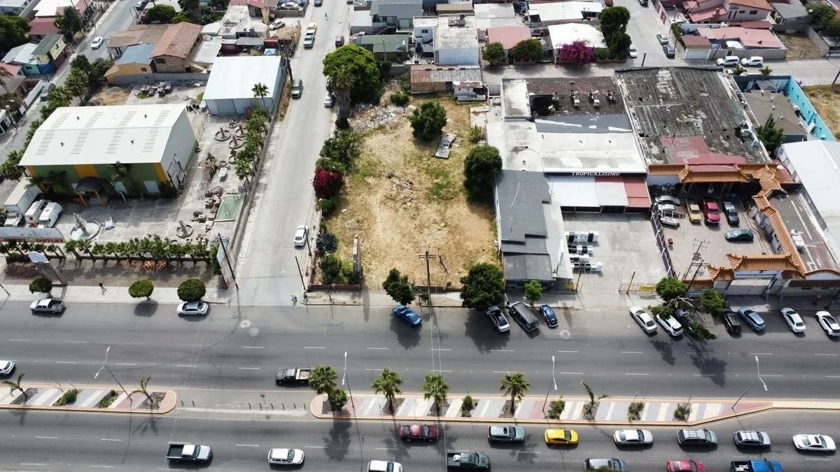 Imagen 3 de 7