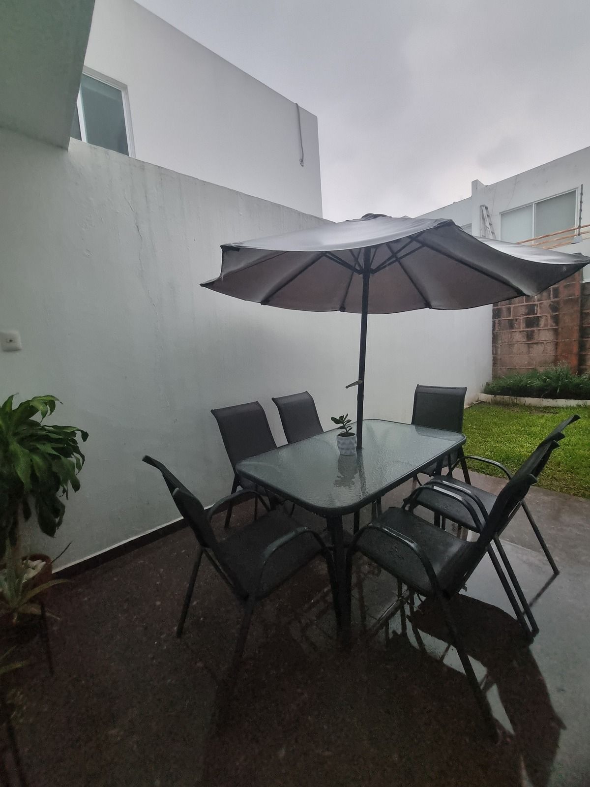 PATIO CON JARDIN