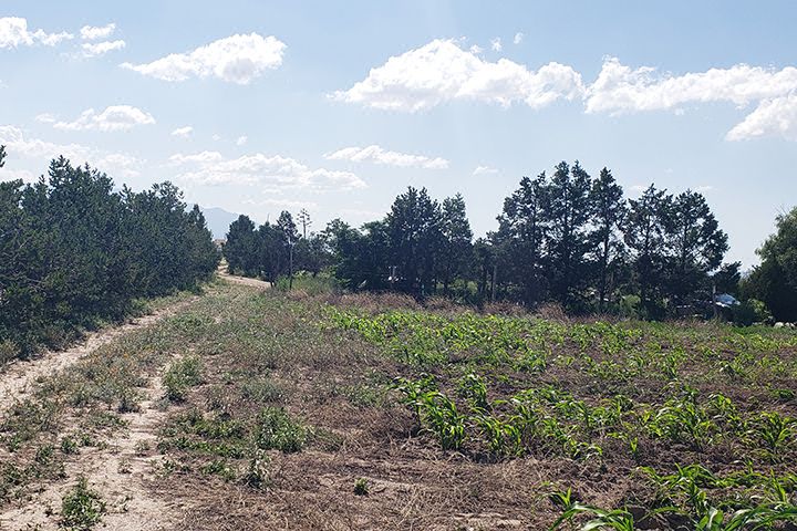 Terreno Industrial en VENTA en Agua Nueva