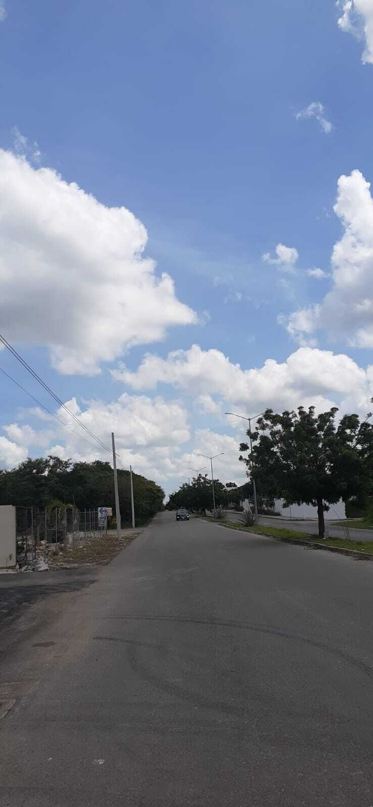 4 de 9