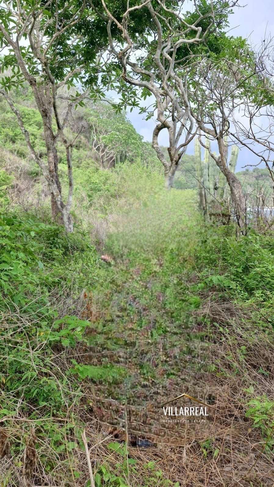 4 of 15