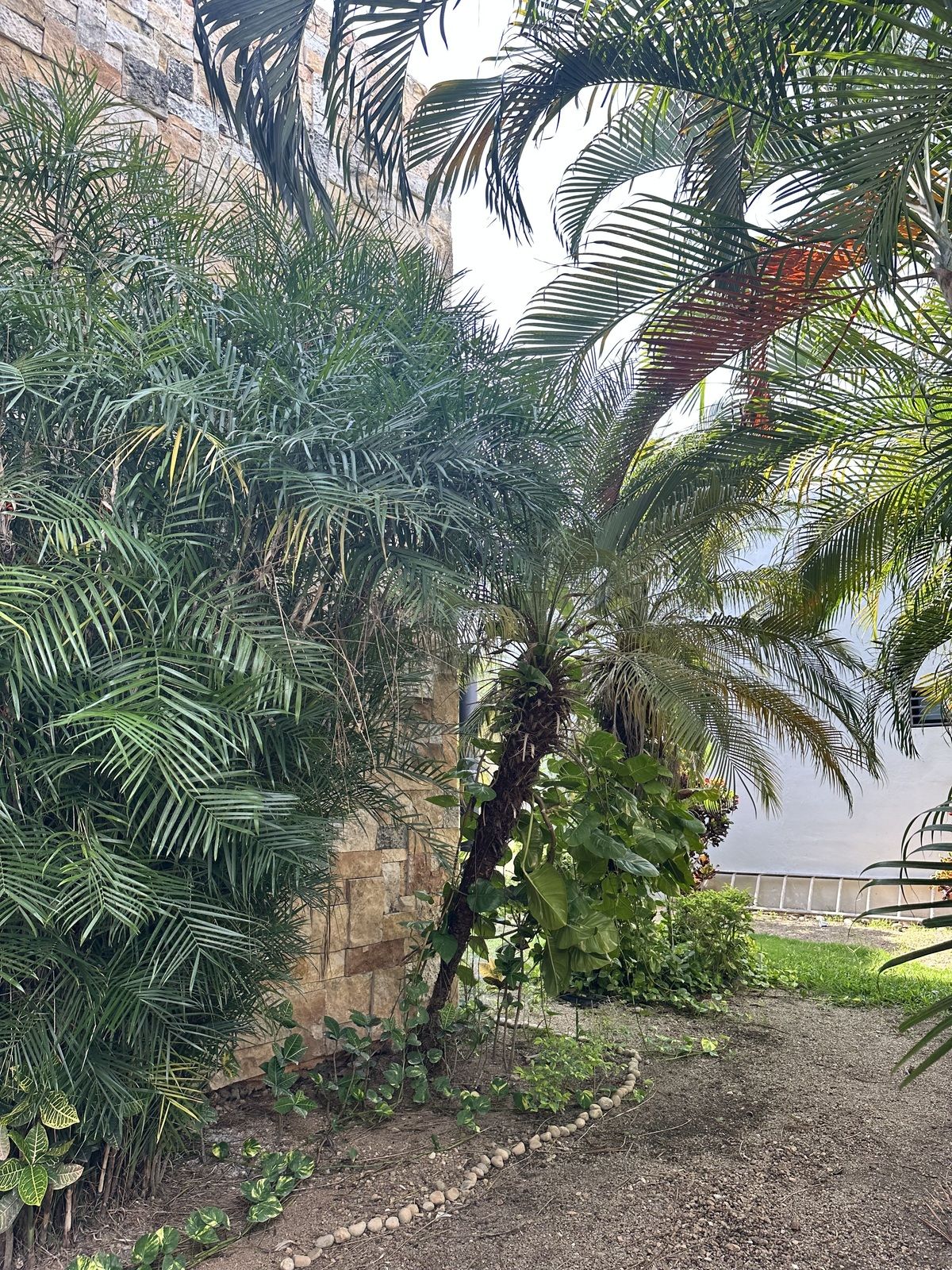 19 de 19