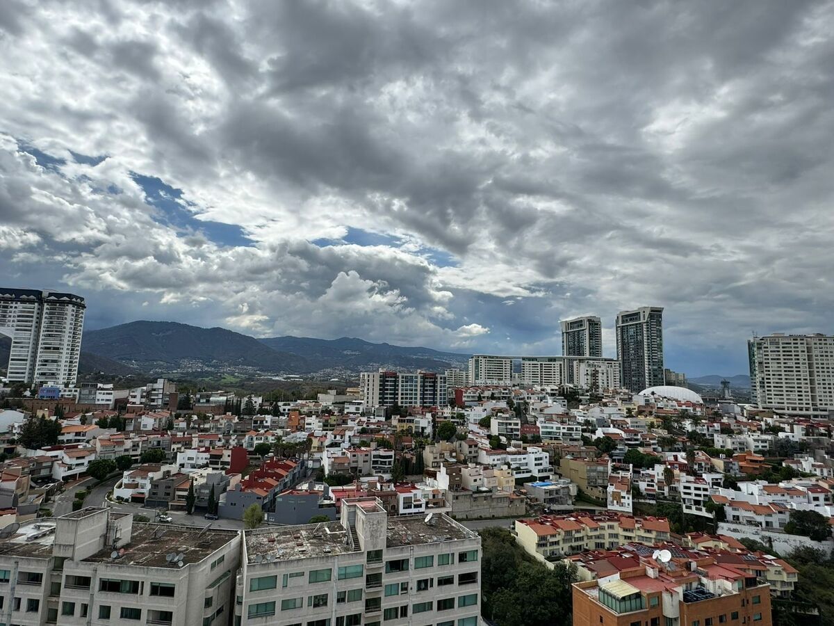 29 de 43