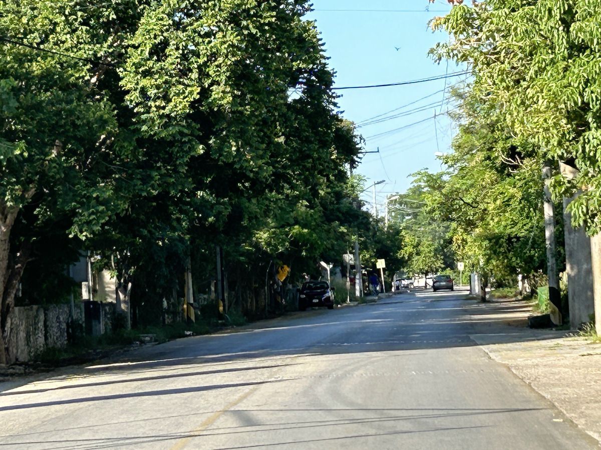 2 de 12