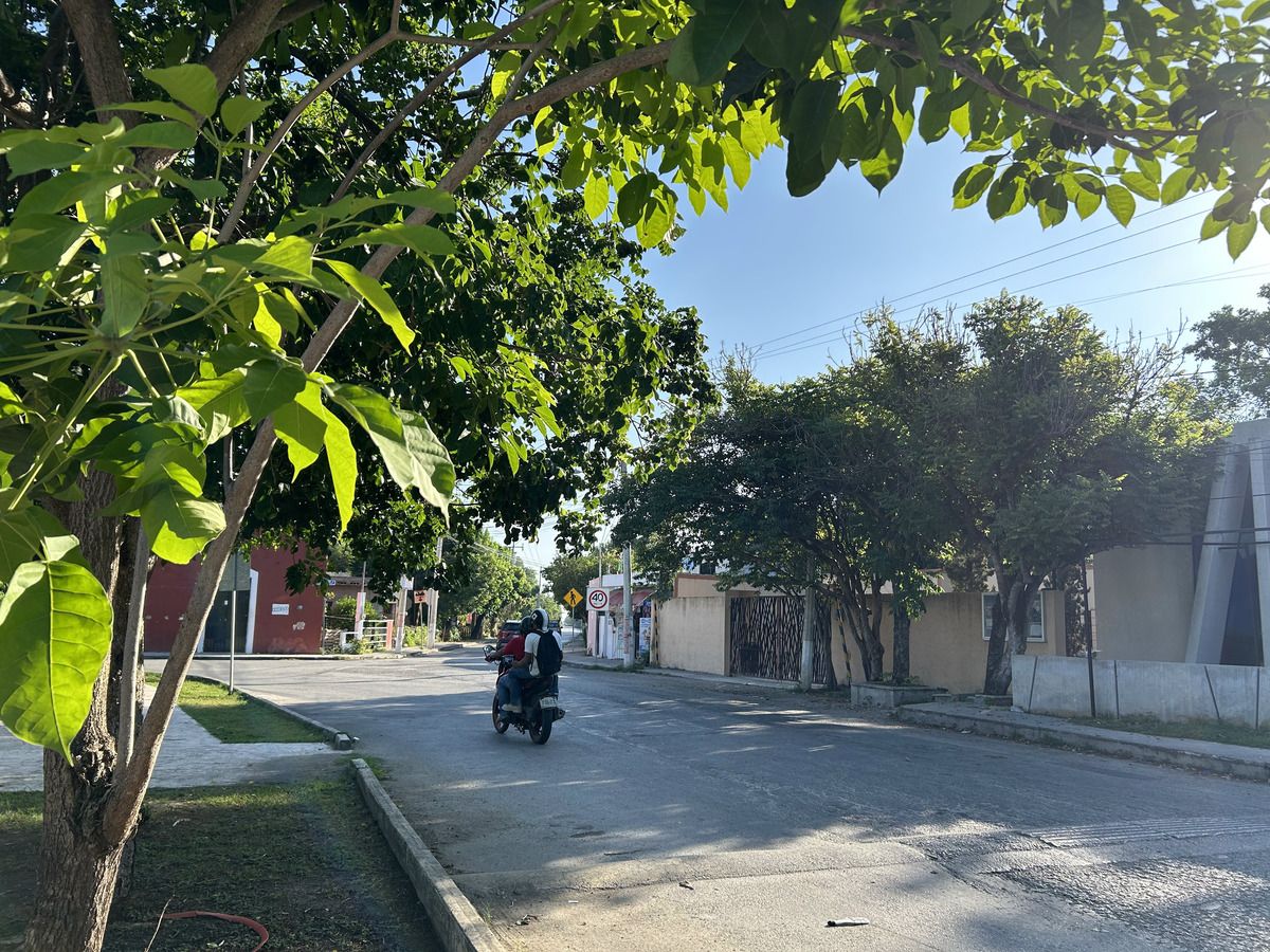 11 de 12