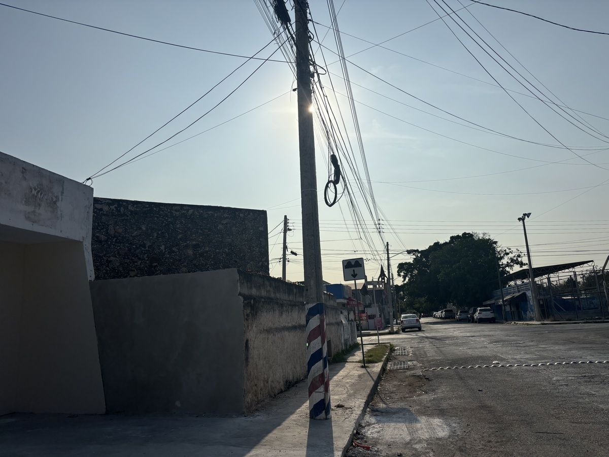 4 de 14