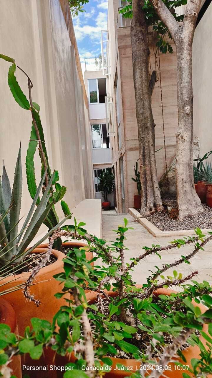 https://assets.easybroker.com/property_images/4660586/78549583/EB-QX0586.jpg?version=1723078209