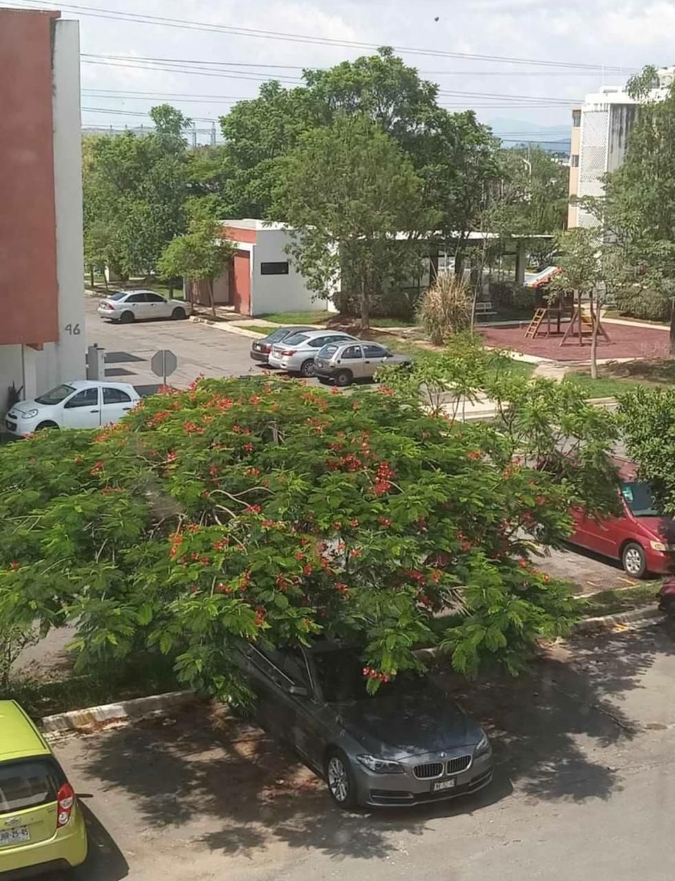 5 de 7