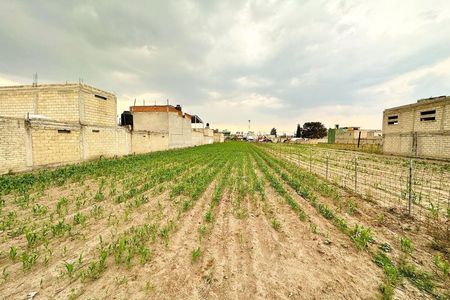 Land for Sale in Santa Ana Tlapaltitlan