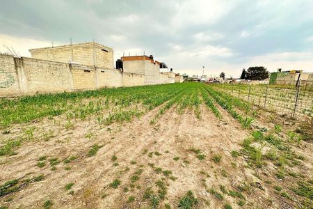 Land for Sale in Santa Ana Tlapaltitlan
