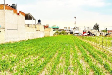 Land for Sale in Santa Ana Tlapaltitlan