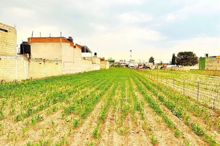 Land for Sale in Santa Ana Tlapaltitlan