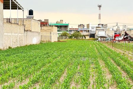 Land for Sale in Santa Ana Tlapaltitlan