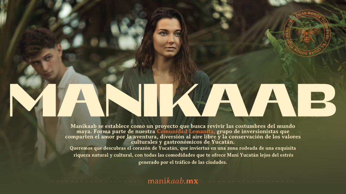 Imagen 5 de 10