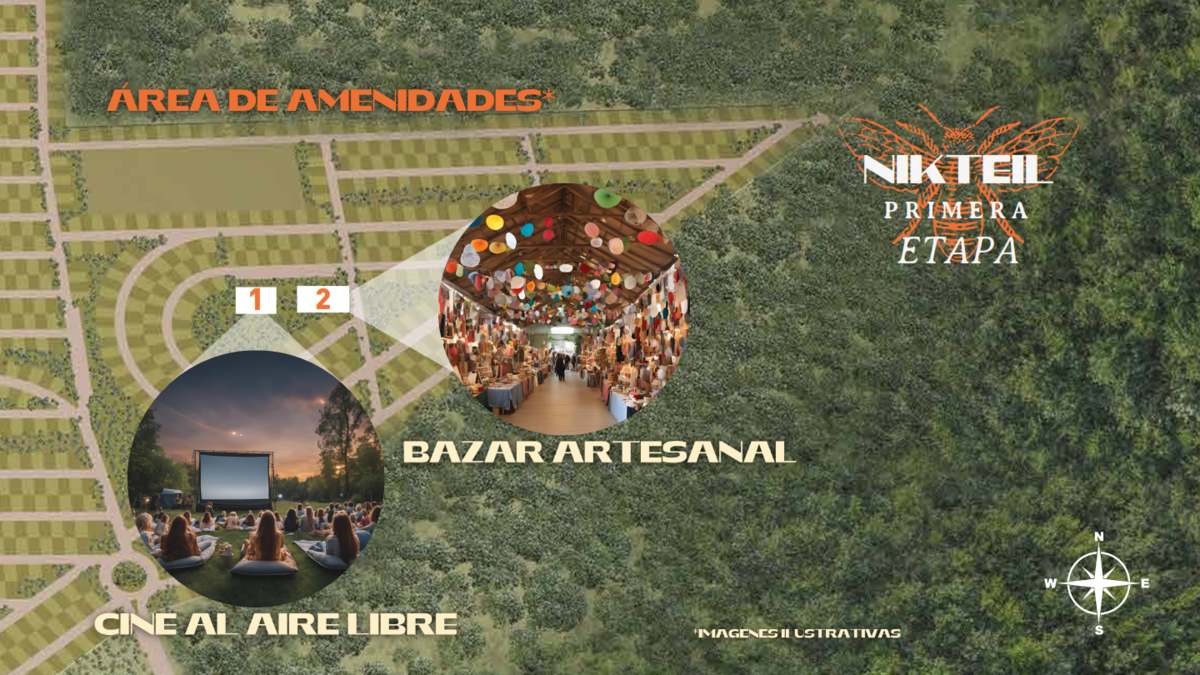 Imagen 8 de 10