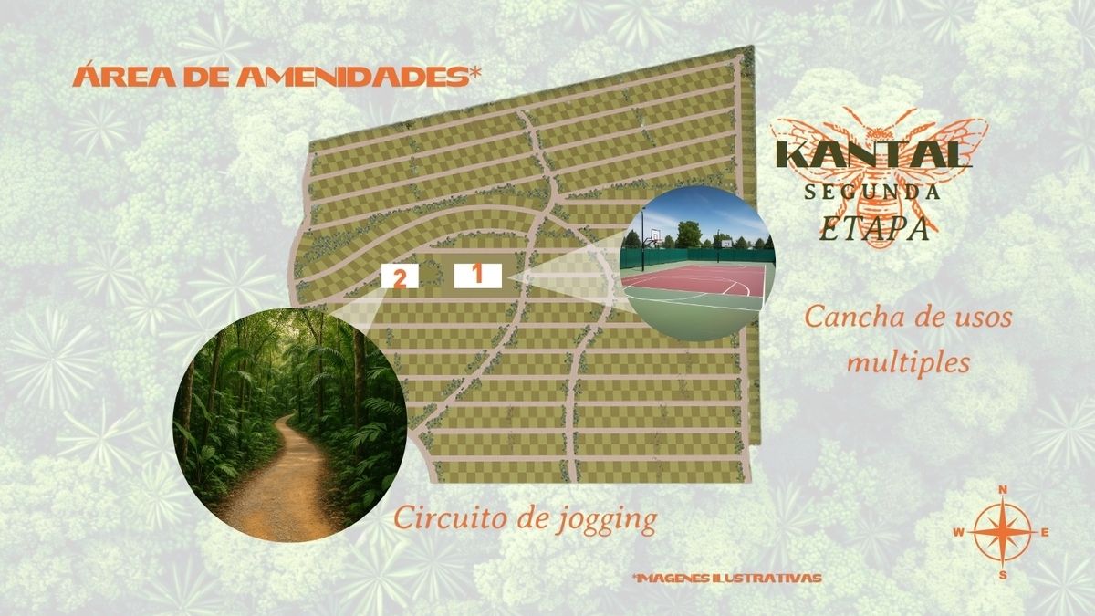 10 de 16