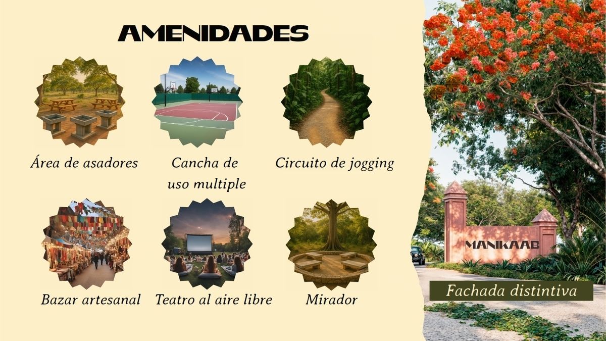 12 de 16