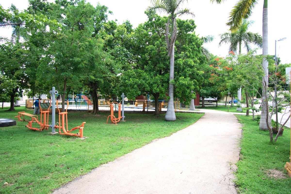 34 de 36