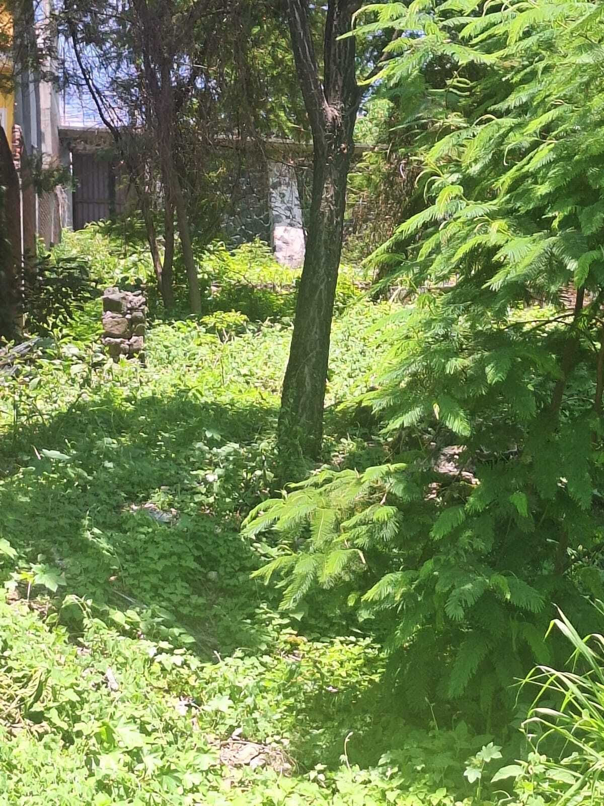 Land for sale in Temixco, Morelos 500m2 - foto 3
