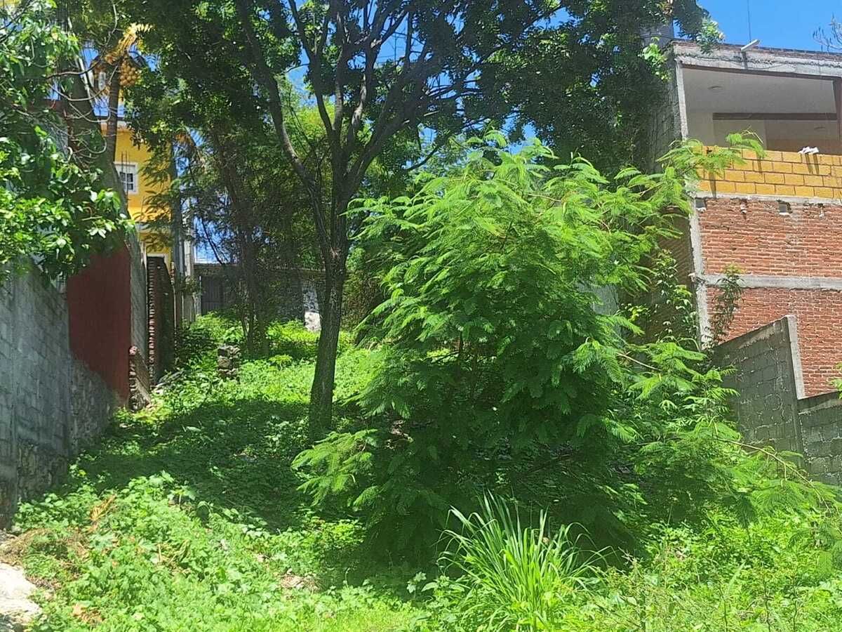 Land for sale in Temixco, Morelos 500m2 - foto 4