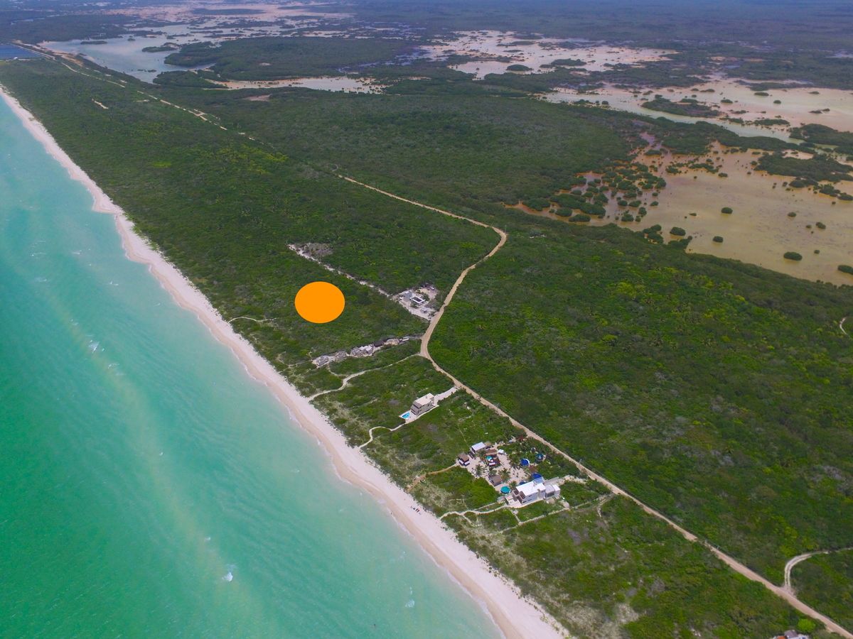 https://assets.easybroker.com/property_images/4664325/78606196/EB-QX4325.JPG?version=1723185105
