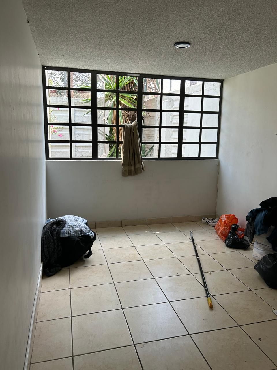 36 de 36