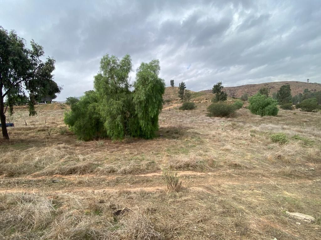 https://assets.easybroker.com/property_images/4666523/78676746/EB-QX6523.jpeg?version=1723285538