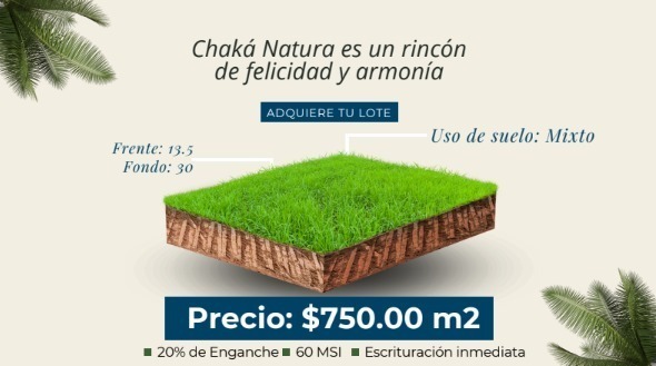2 de 14