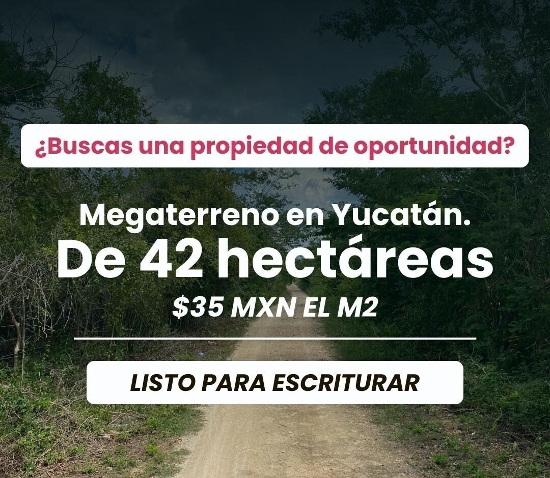 2 de 8
