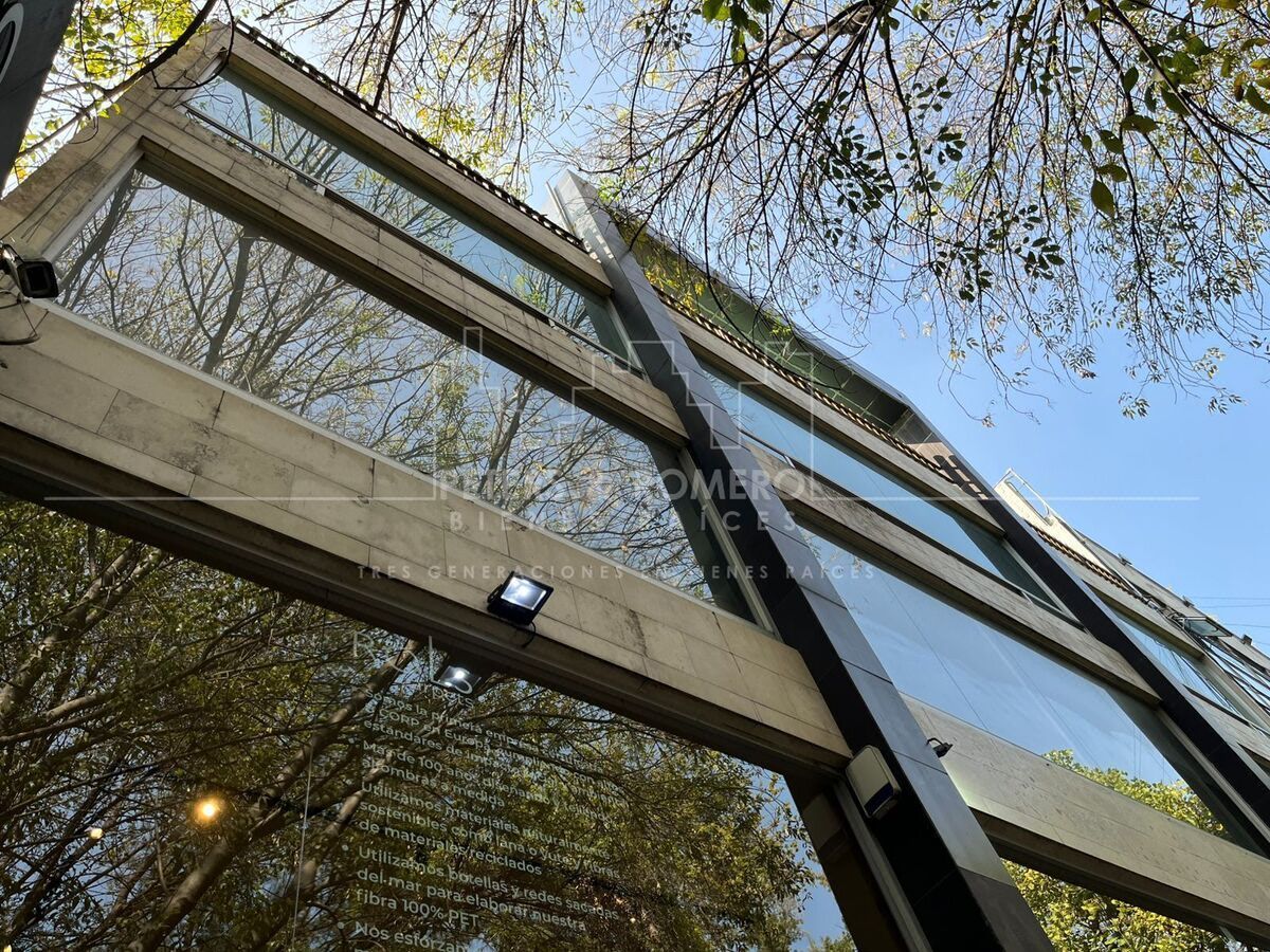 Gran Edificio de Uso Mixto en Horacio