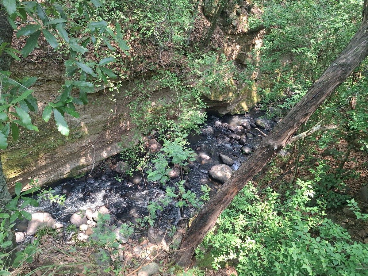 Lote em Villa del Carbón, Villa del Carbón, foto 14 de 16