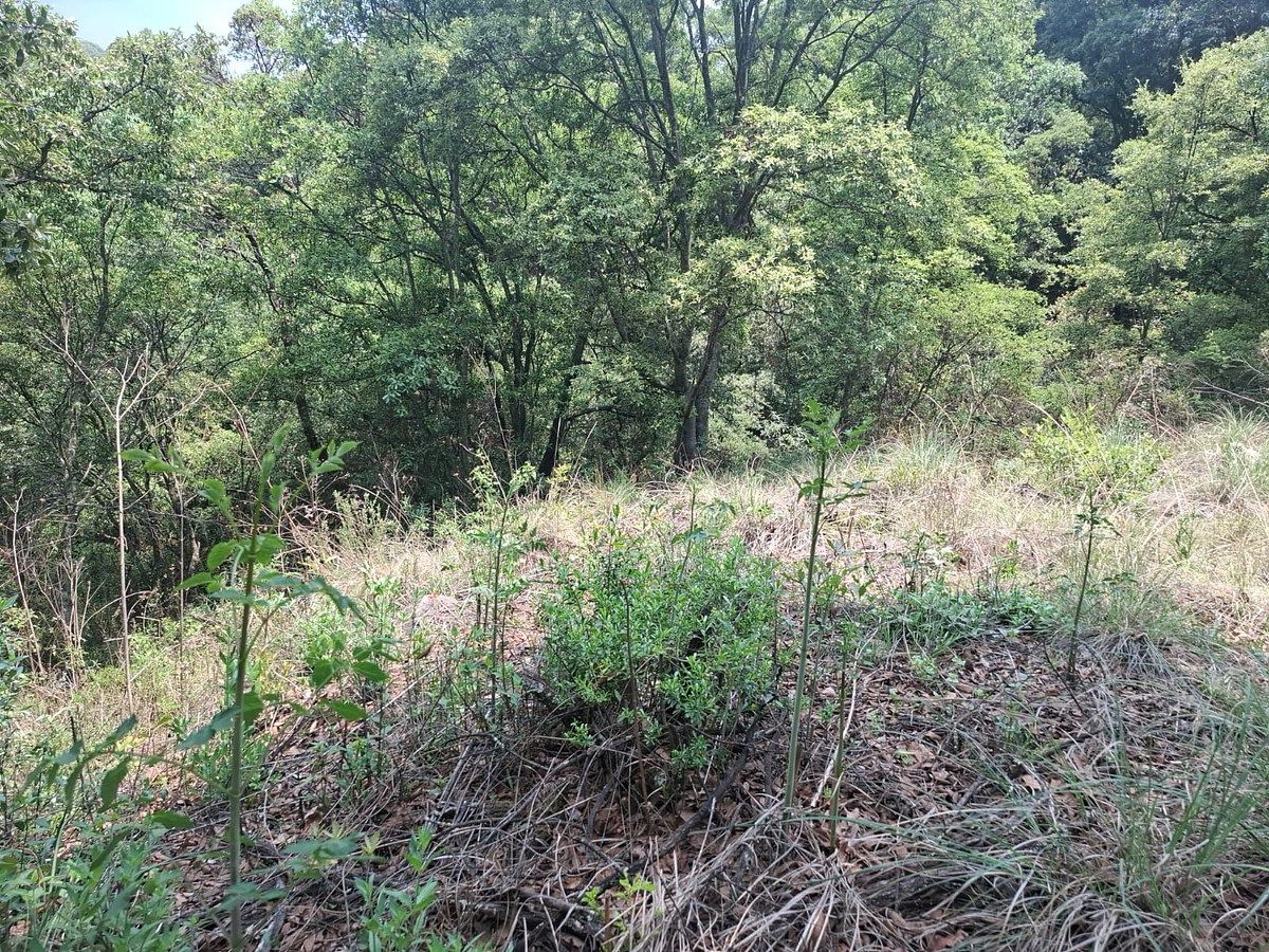 Lote em Villa del Carbón, Villa del Carbón, foto 15 de 16