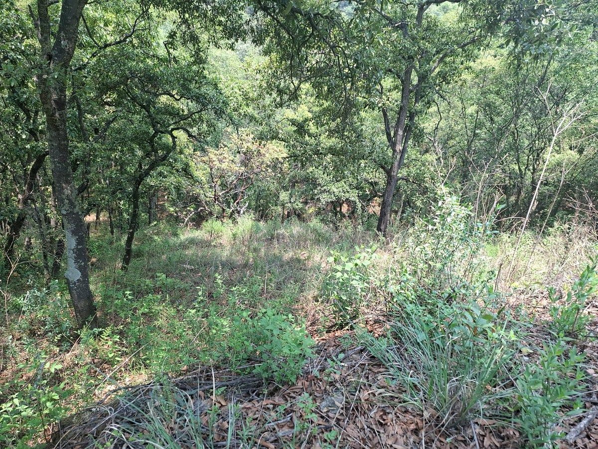 Lote em Villa del Carbón, Villa del Carbón, foto 13 de 16