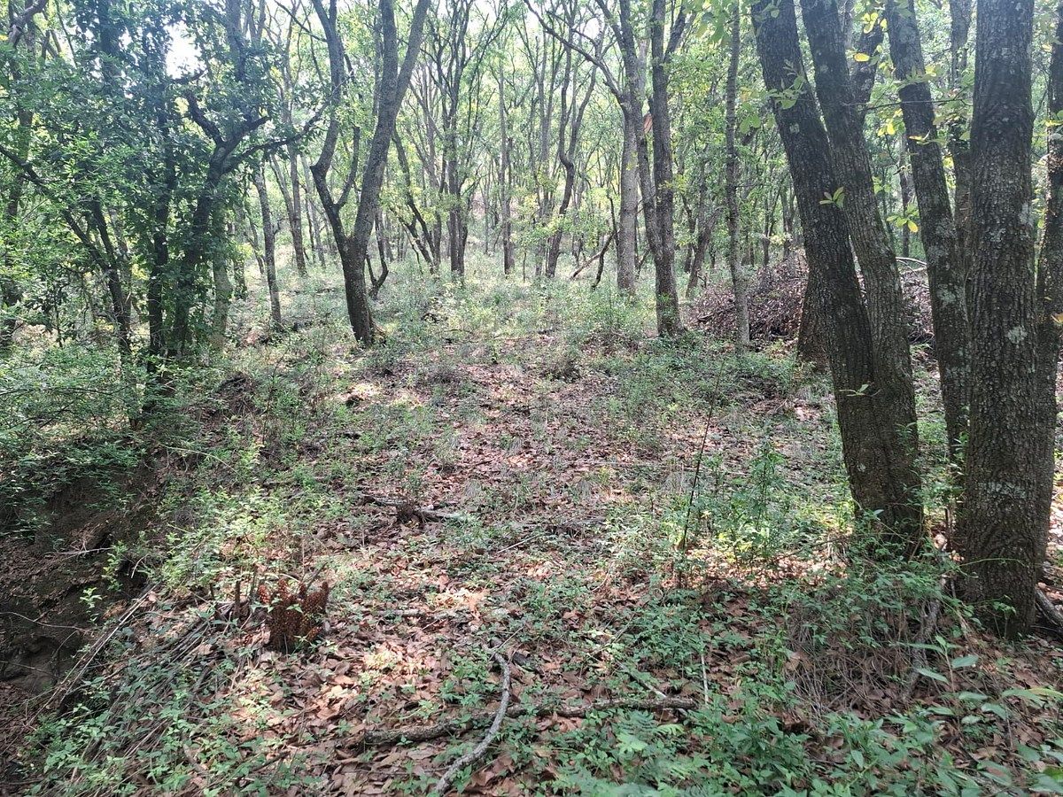 Lote em Villa del Carbón, Villa del Carbón, foto 16 de 16