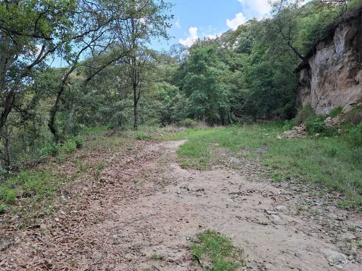 2 de 22