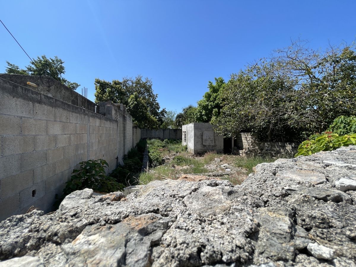 10 de 10