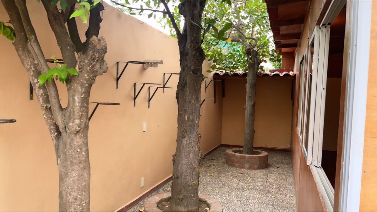 Bucerias - Patio