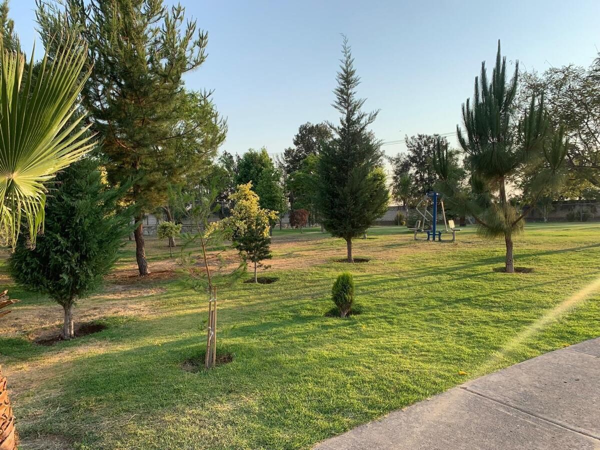 5 de 18