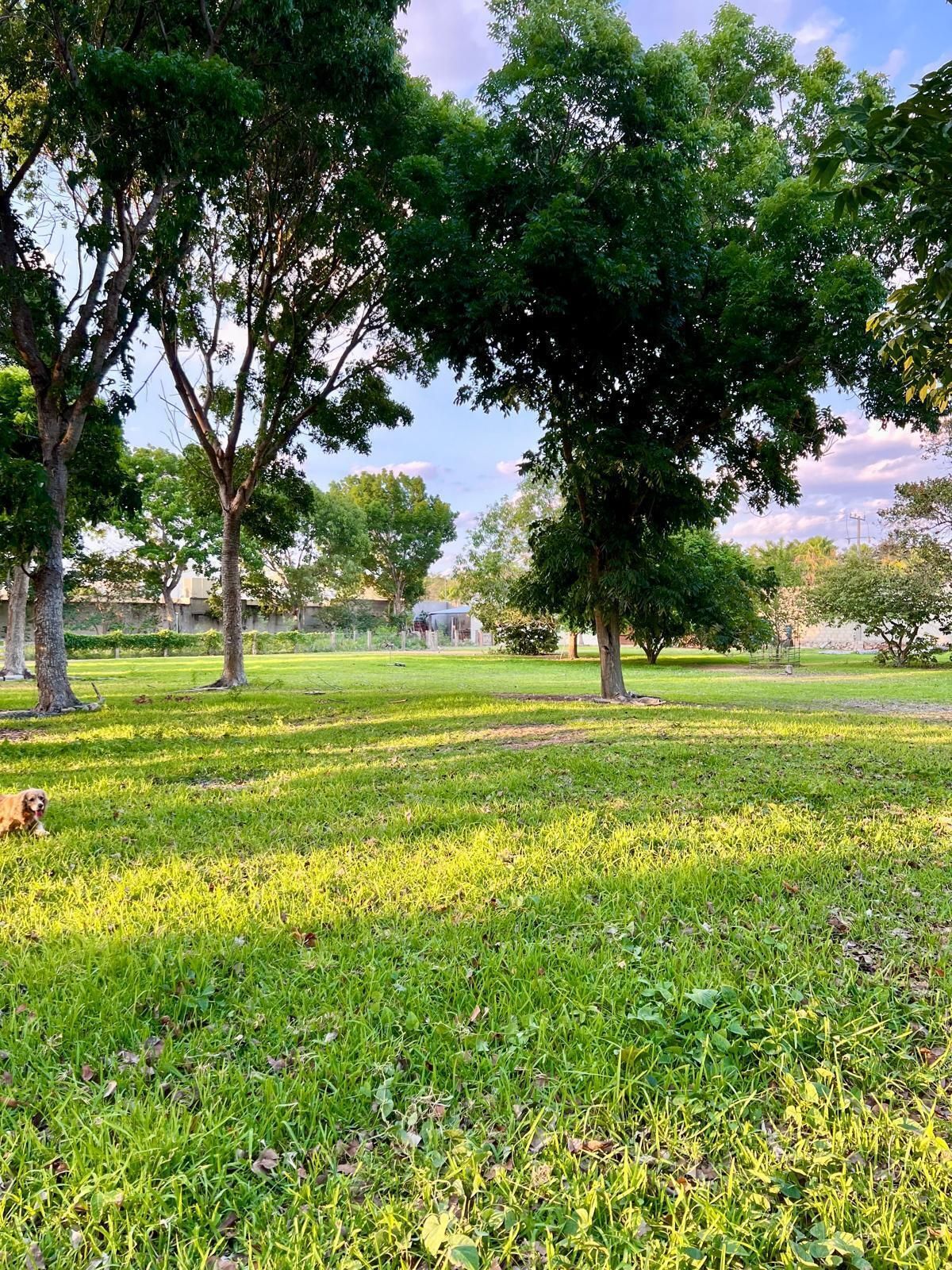 Terreno en venta en Temozón Norte: Desde 2,500m2 a 5,000 m2 con servicios - foto 3