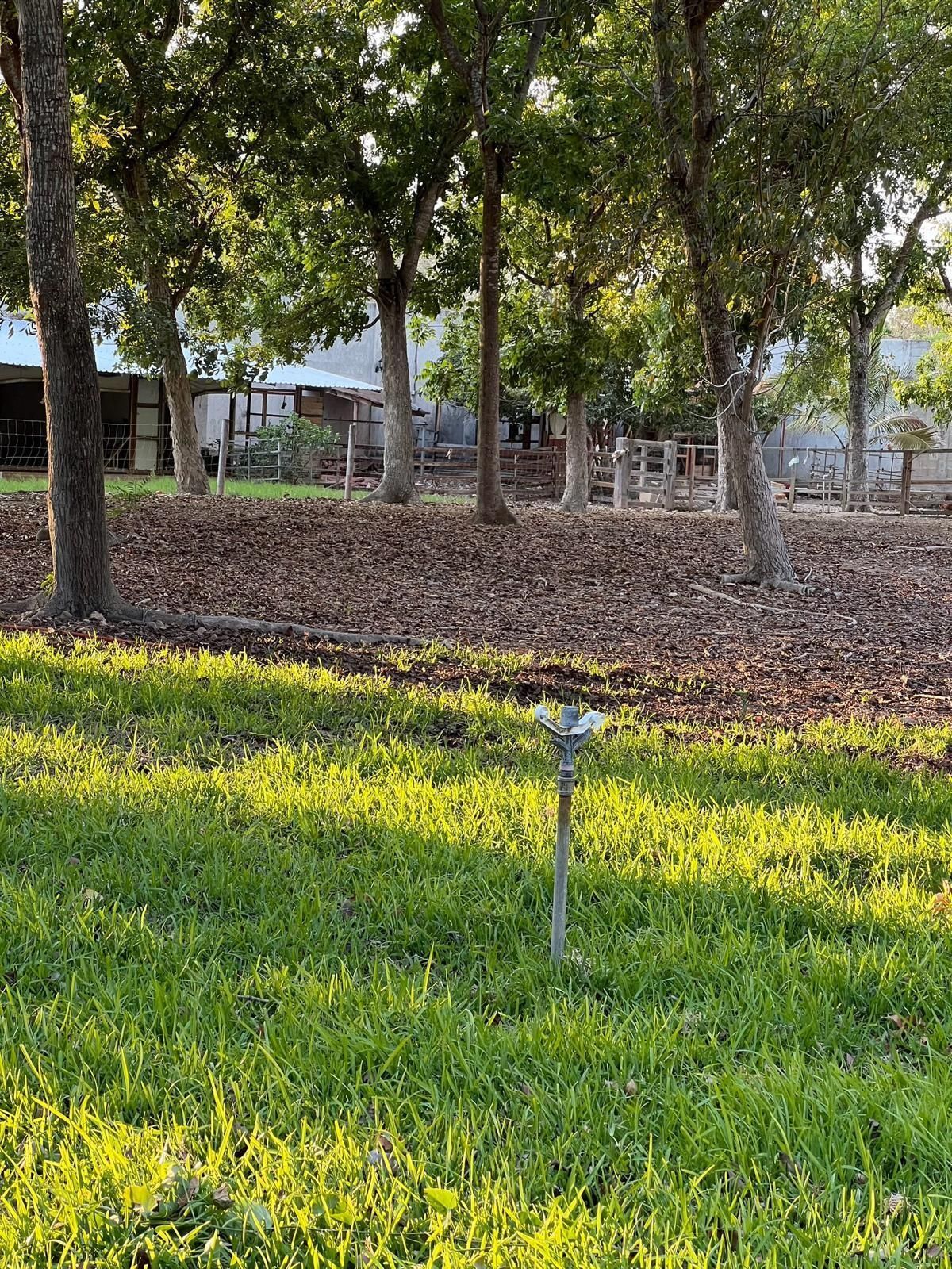Terreno en venta en Temozón Norte: Desde 2,500m2 a 5,000 m2 con servicios - foto 5