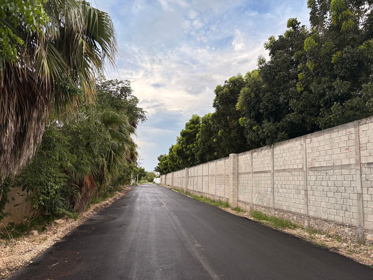 Terreno en venta en Temozón Norte: Desde 2,500m2 a 5,000 m2 con servicios - foto 1