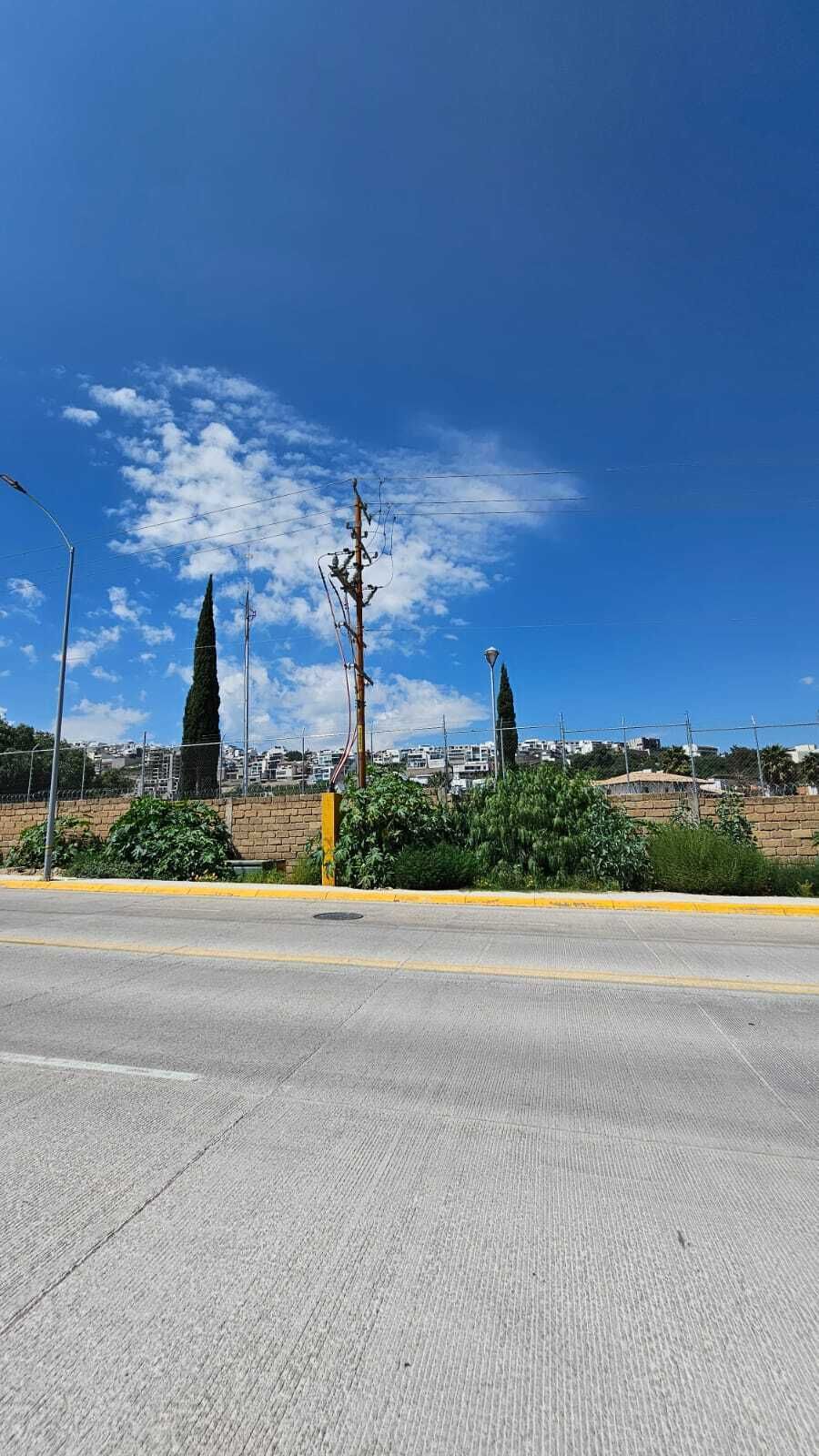 3 de 12