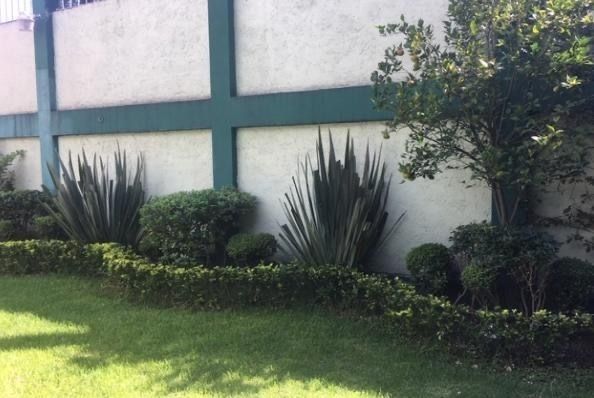 24 de 25