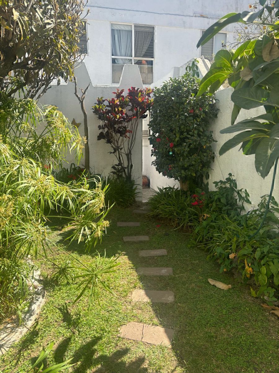 7 de 18