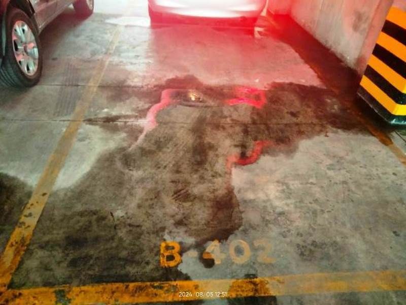 13 de 16: Estacionamiento