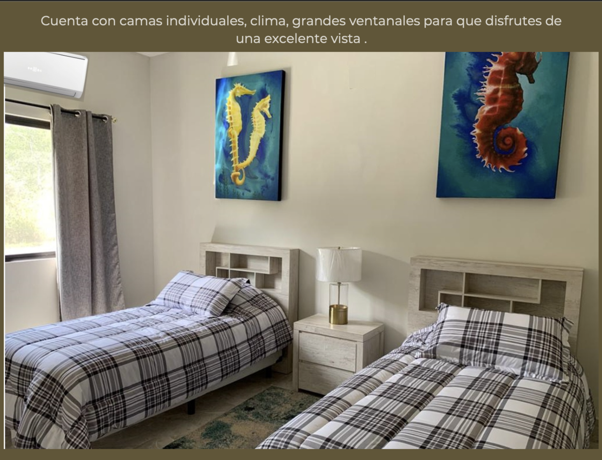 Imagen 3 de 4